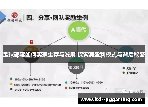 足球部落如何实现生存与发展 探索其盈利模式与背后秘密 足球部落如何实现生存与发展 探索其盈利模式与背后秘密