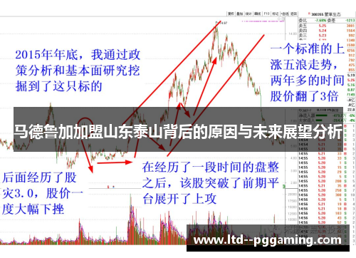 马德鲁加加盟山东泰山背后的原因与未来展望分析 马德鲁加加盟山东泰山背后的原因与未来展望分析