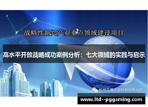 高水平开放战略成功案例分析:七大领域的实践与启示 高水平开放战略成功案例分析:七大领域的实践与启示
